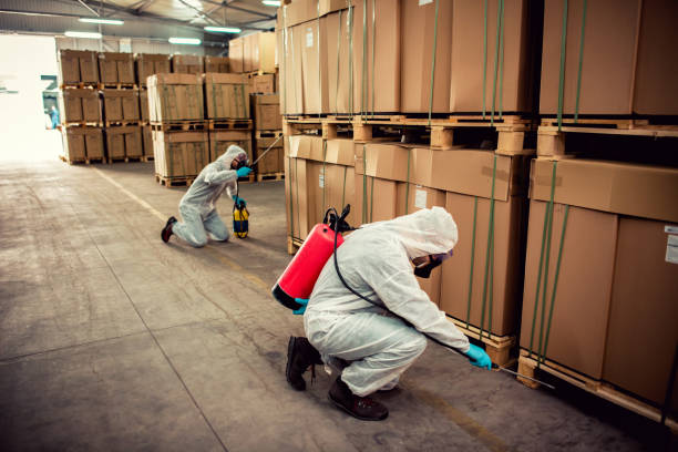 Best Bed Bug Extermination  in Buckner, MO
