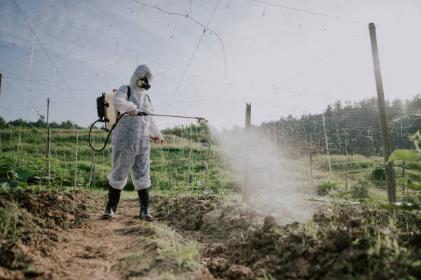 Best Mosquito Control Services  in Buckner, MO
