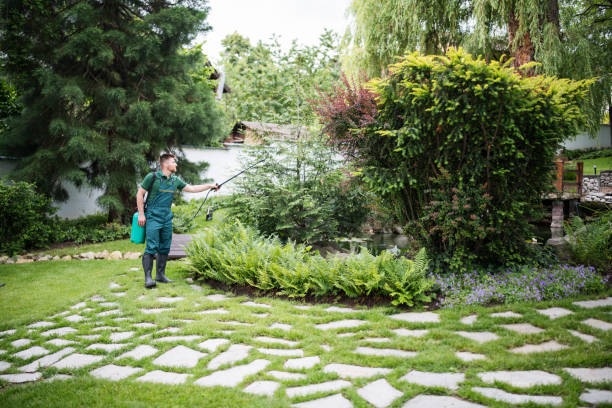 Best Wildlife Control Services  in Buckner, MO