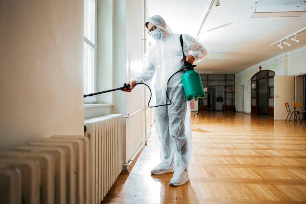 Best Pest Inspection Near Me  in Buckner, MO
