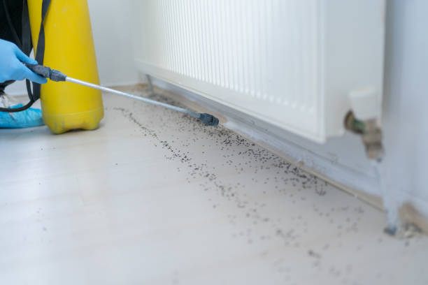 Best Best Pest Control Companies  in Buckner, MO