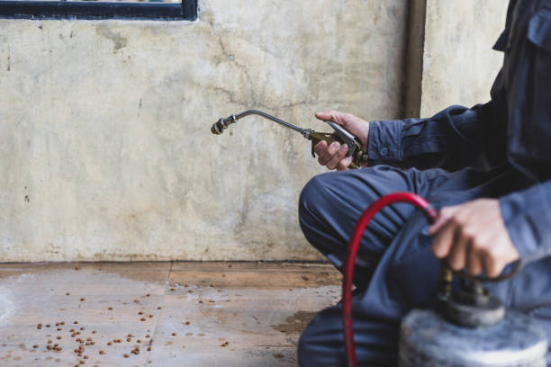 Best Affordable Pest Control Services  in Buckner, MO